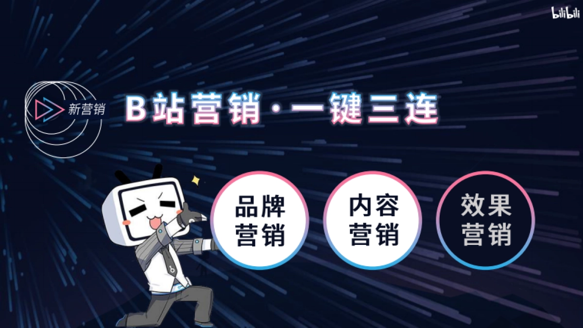 bilibili 2020年品牌营销手册_第9页