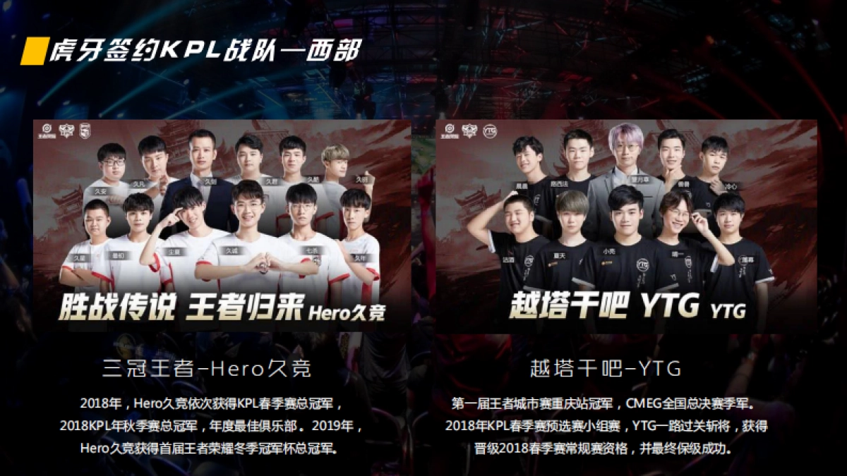 虎牙直播部分签约战队介绍_第10页