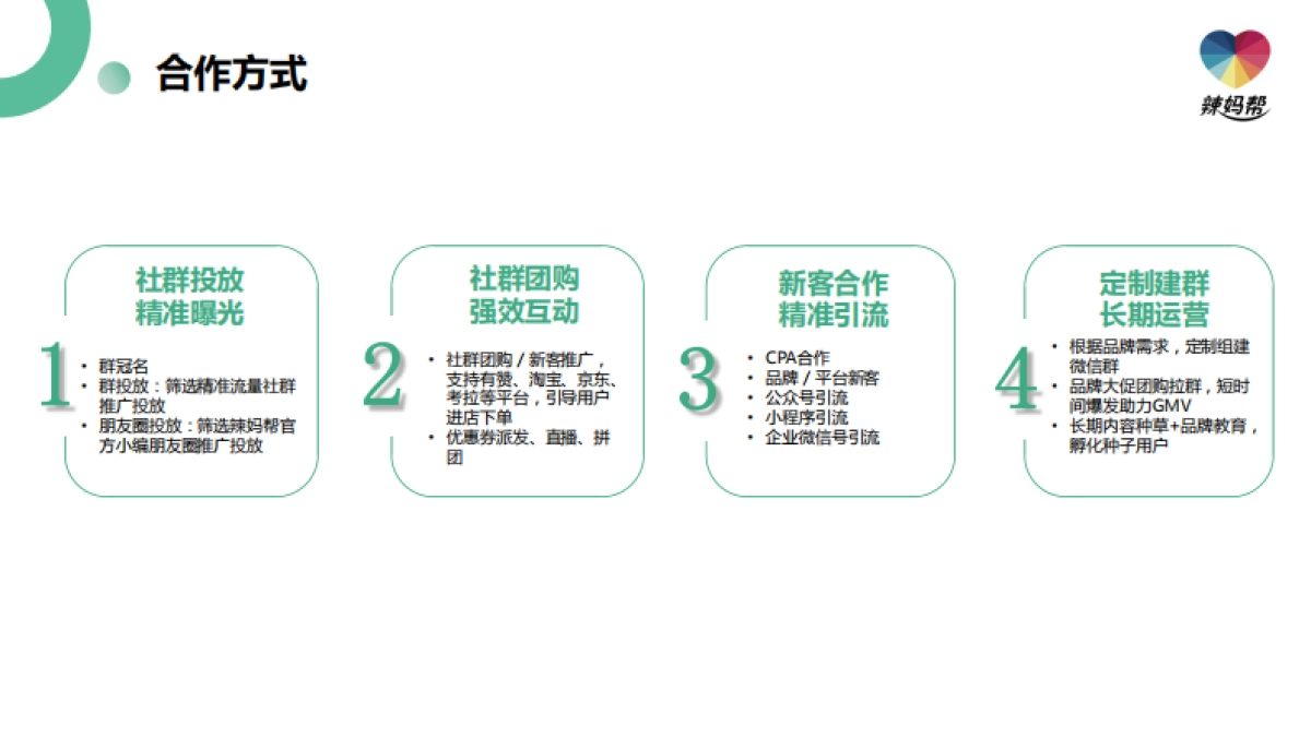 辣妈帮社群营销方案_第9页