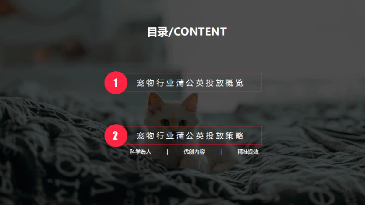 小红书蒲公英宠物行业投放指南_第2页