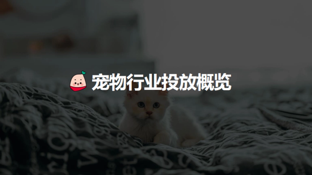 小红书蒲公英宠物行业投放指南_第3页