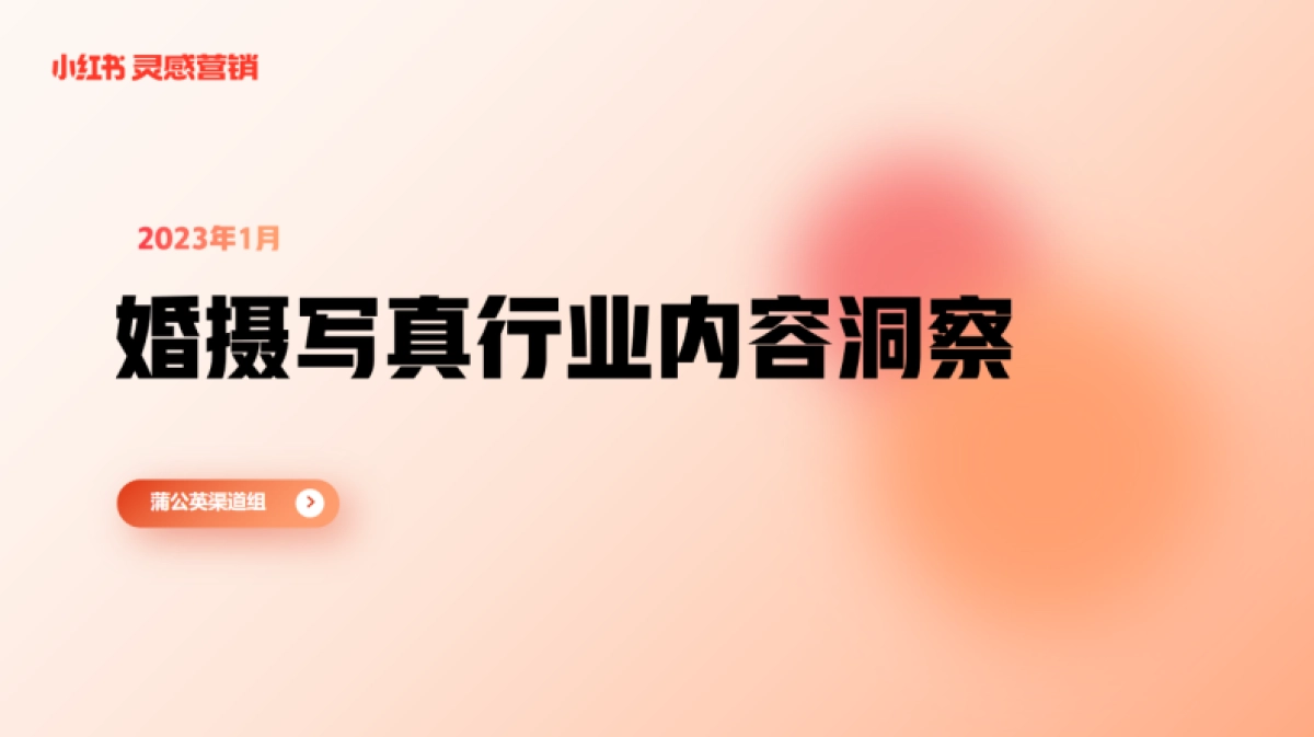 小红书浦公英婚摄写真行业内容洞察_第1页