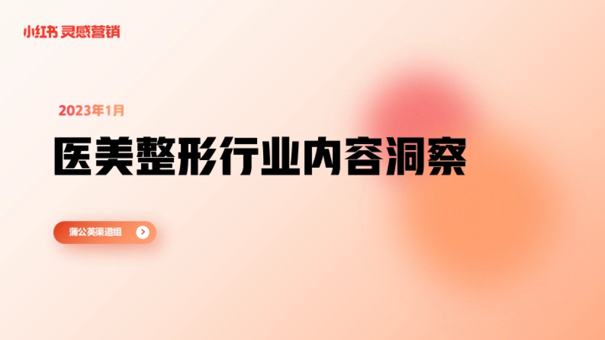 小红书浦公英医美整形行业内容洞察_第1页