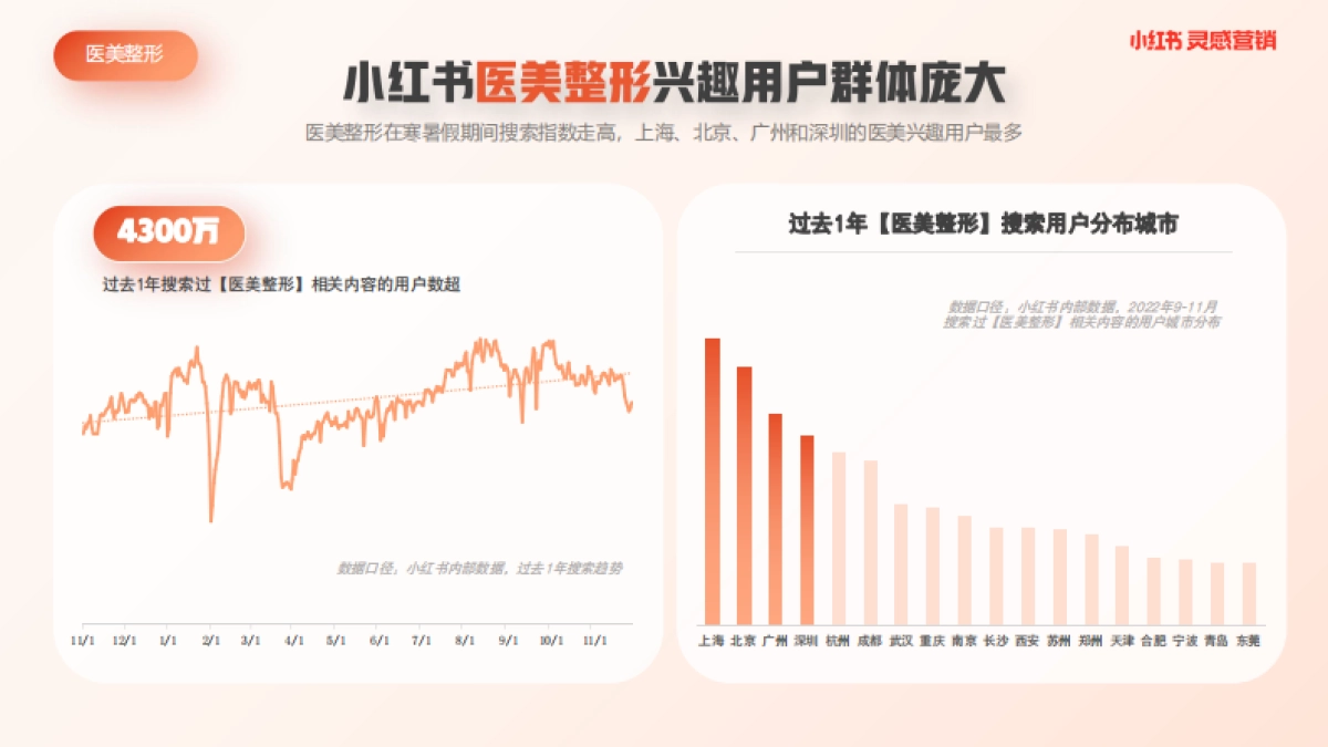 小红书浦公英医美整形行业内容洞察_第2页