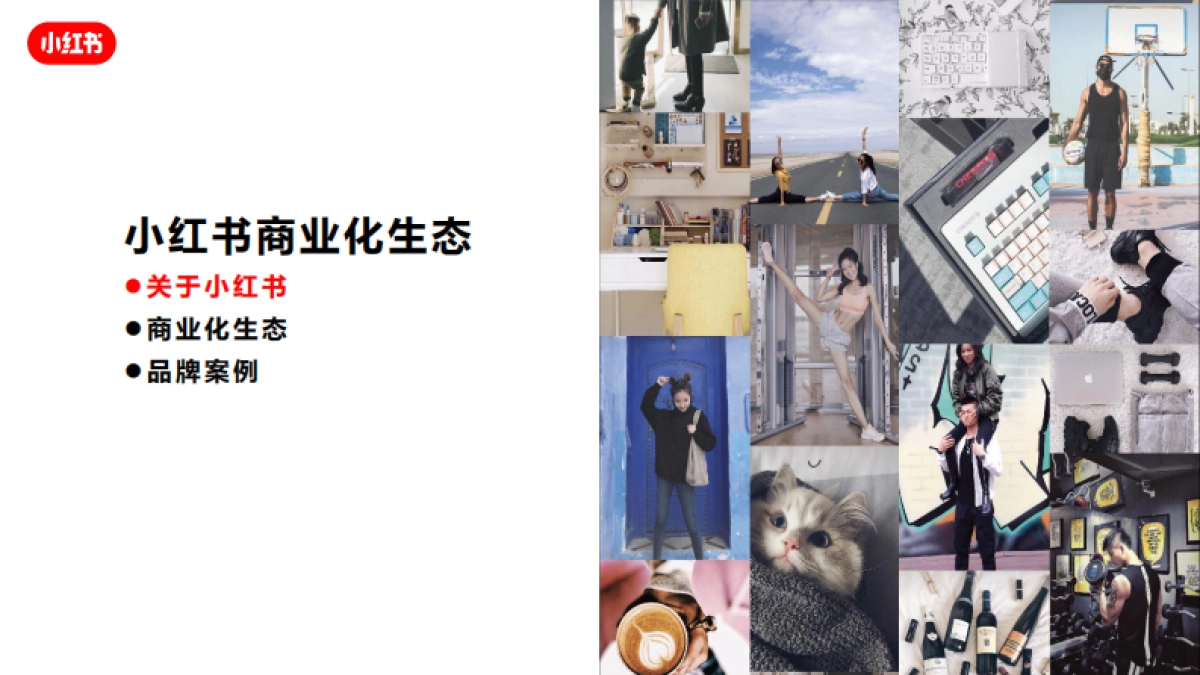 小红书商业化生态-43p_第2页