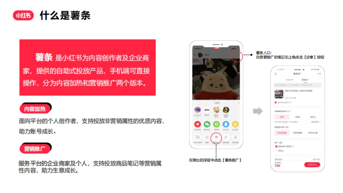 小红书薯条产品营销通案_第4页