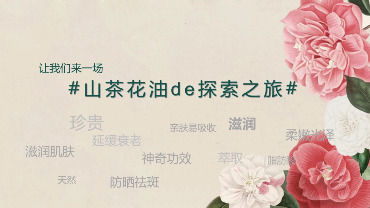 2017山茶花肌肤油媒体见面会策划案_第7页