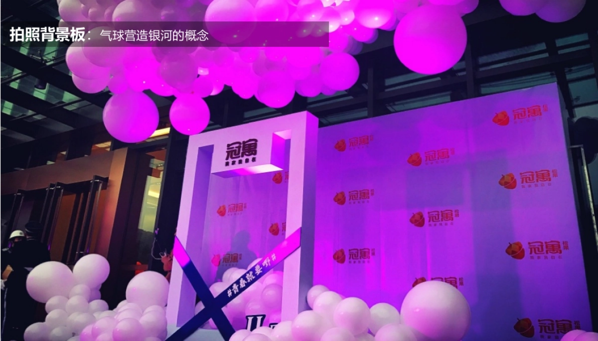 2018中央广场点亮五河暨史诗级群星演唱会发布会暨媒体见面酒会简案_第10页