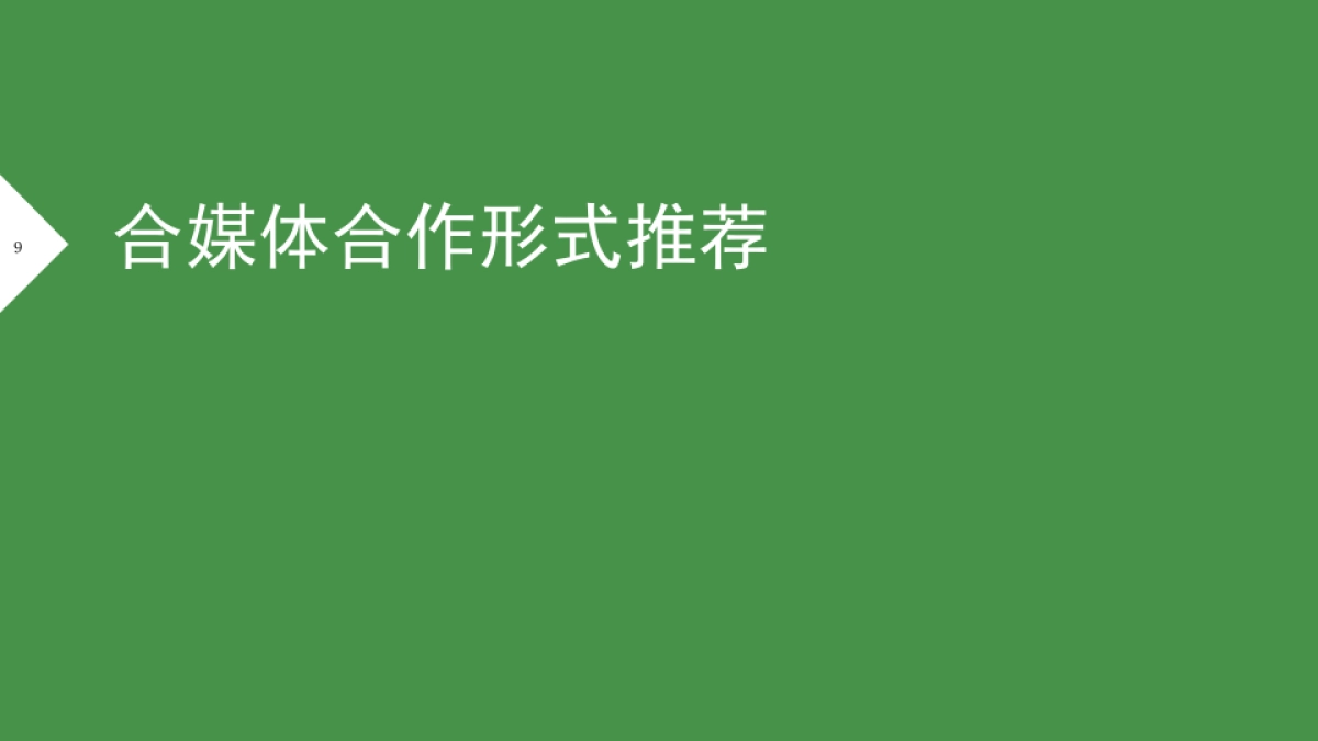 百雀羚媒介提案_第9页