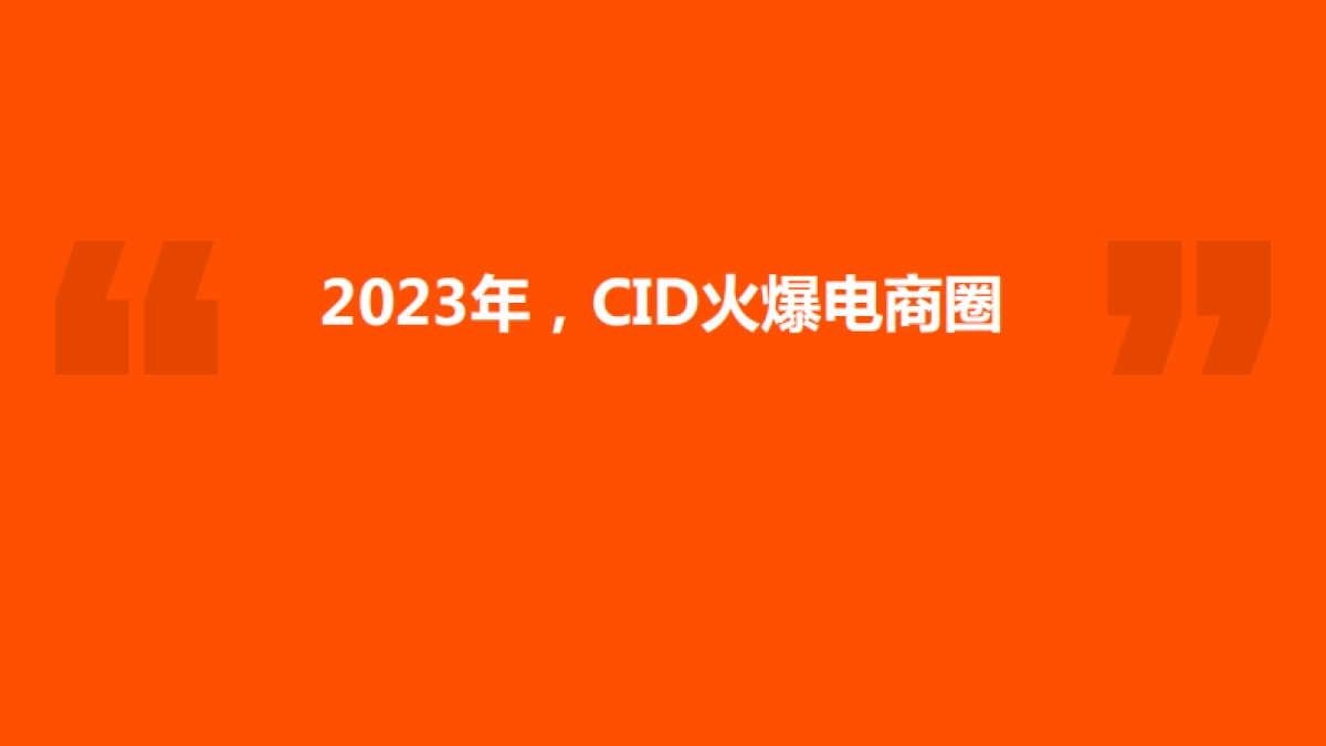 2024电商CID行业趋势窥探_第3页