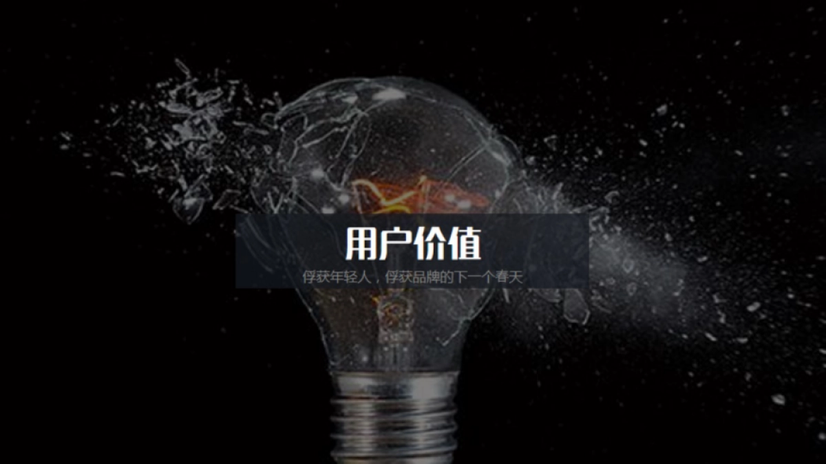 爱奇艺年度综艺内容营销方案_第9页