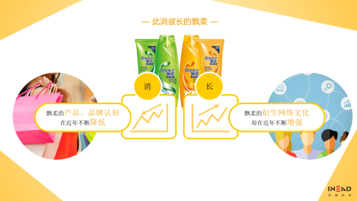 宝洁内容共创天团_致趣_飘柔方案_第4页