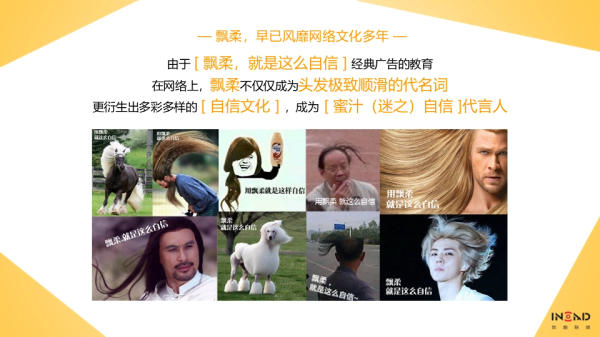 宝洁内容共创天团_致趣_飘柔方案_第5页