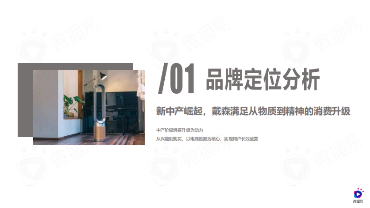 戴森品牌社媒营销分析方案-微播易_第2页