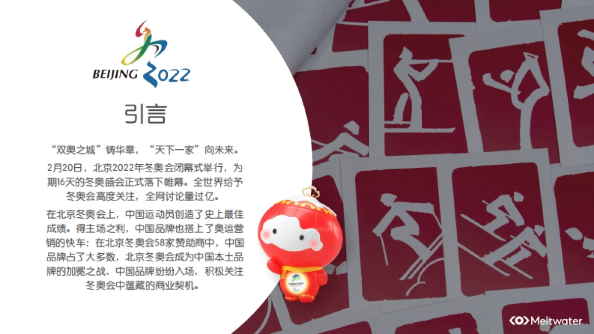 冬奥会品牌营销：代言人选取与虚拟IP的运用_第2页