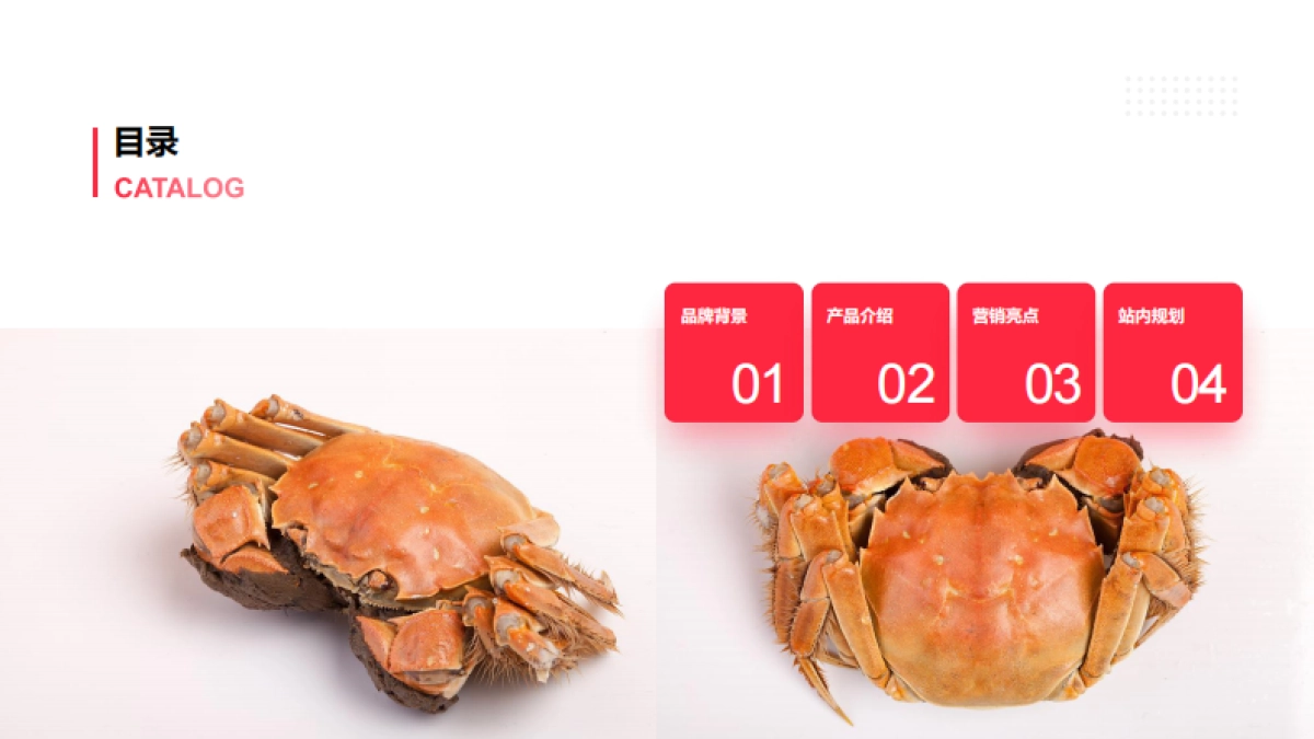 拉面说蟹黄面新品上市营销方案_第2页