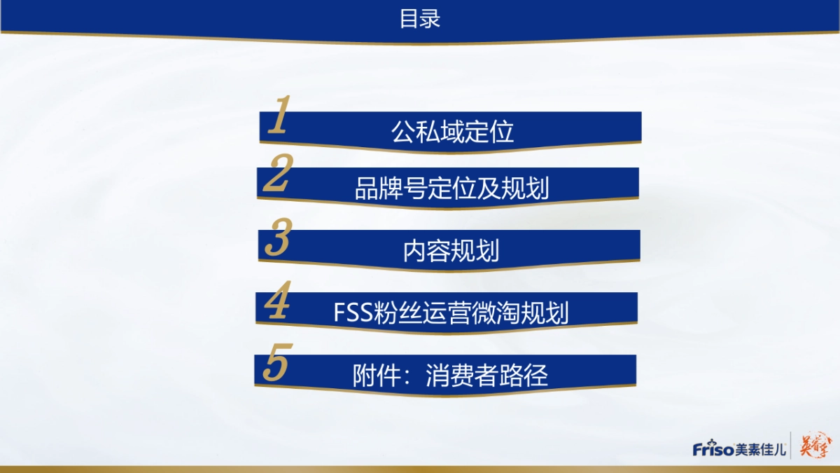 美素佳儿电商内容规划_第2页