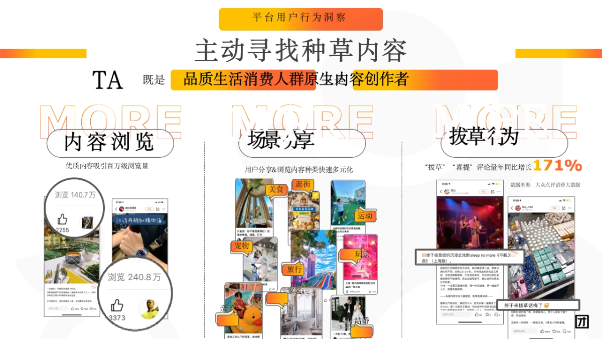 美团点评APP品牌营销通案_第5页