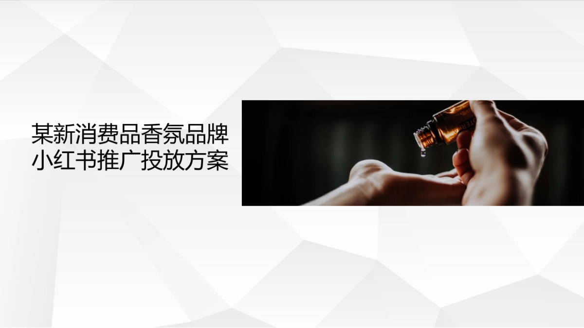 某香氛品牌小红书投放规划方案（新消费品）_第1页