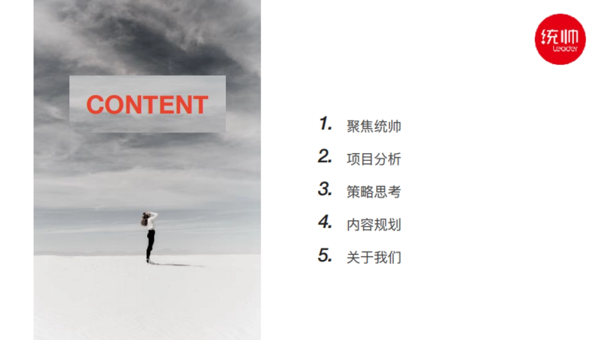 上海瀚势广告-2018统帅新媒体社会化营销运营平台策略与内容规划方案Hothink_第2页