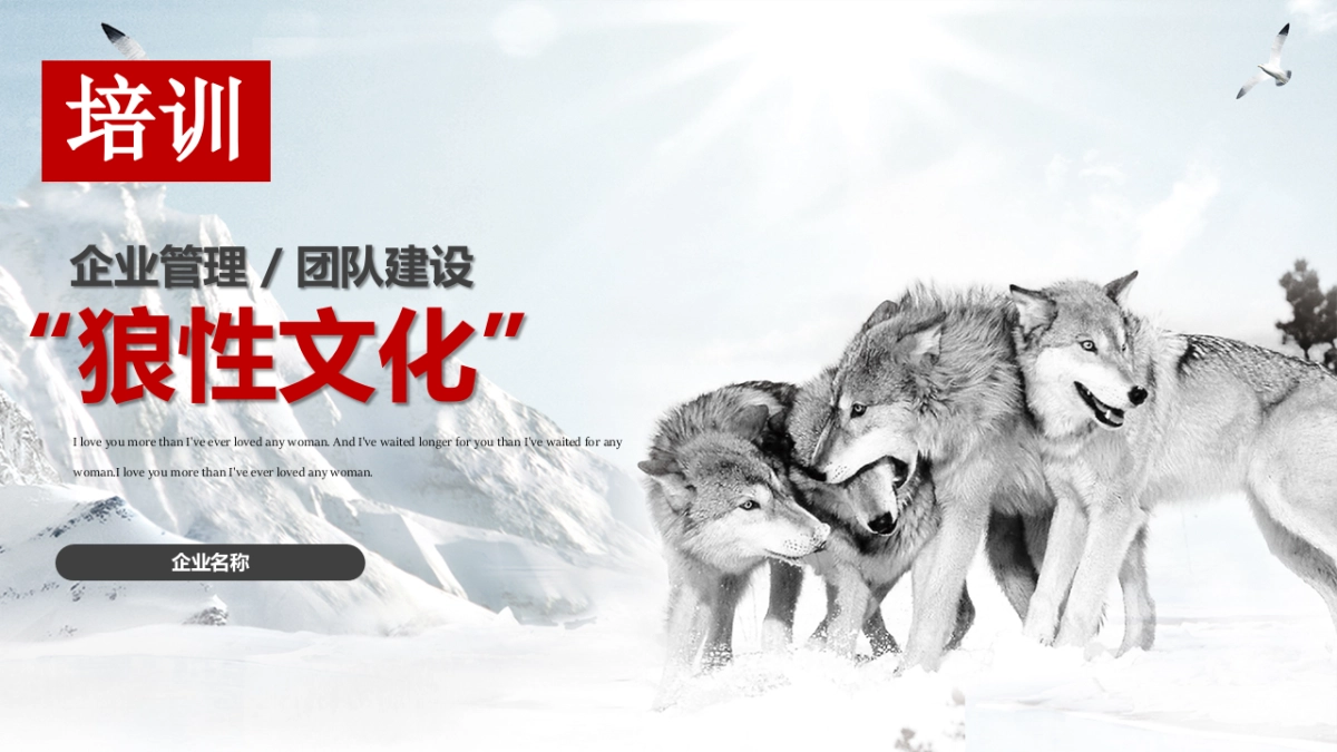 狼性企业文化培训_第1页