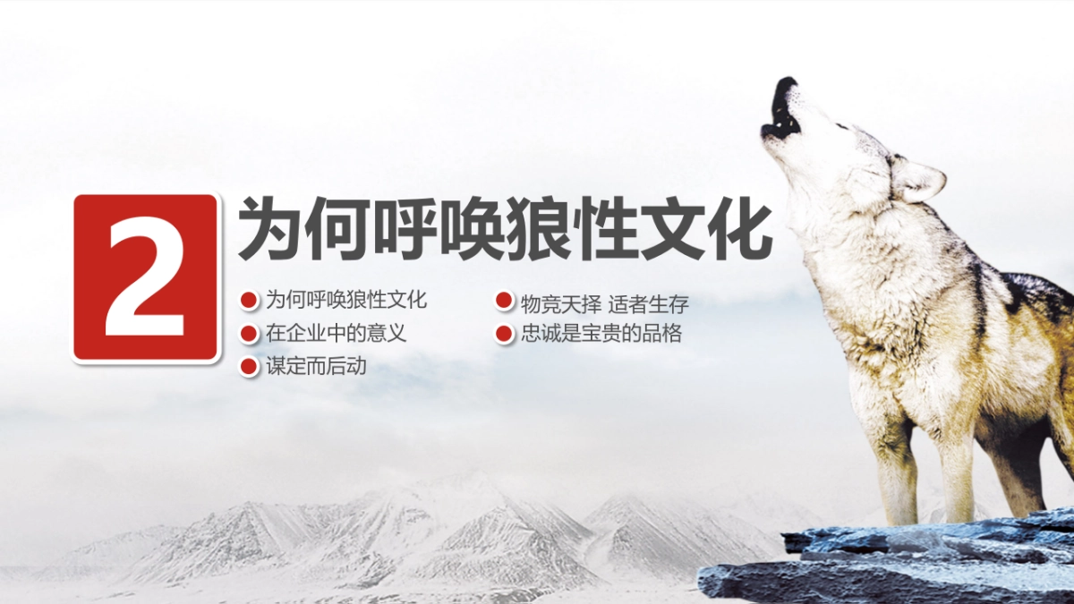 狼性企业文化培训_第10页