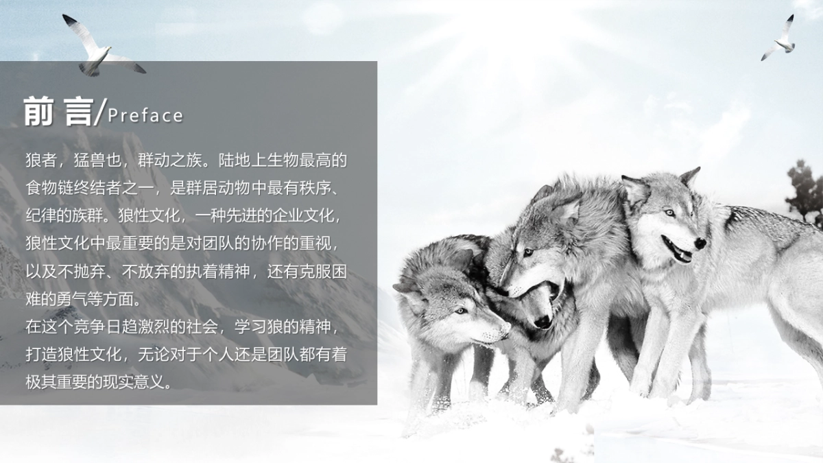 狼性企业文化培训_第2页