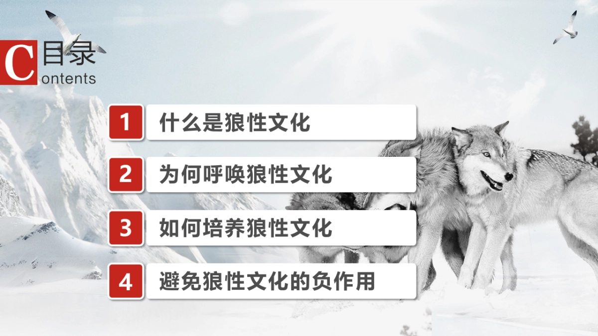 狼性企业文化培训_第3页