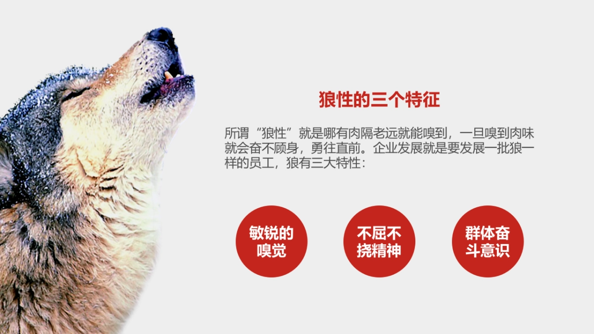 狼性企业文化培训_第6页