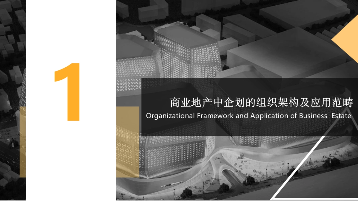 商业运营策划工作培训_第6页