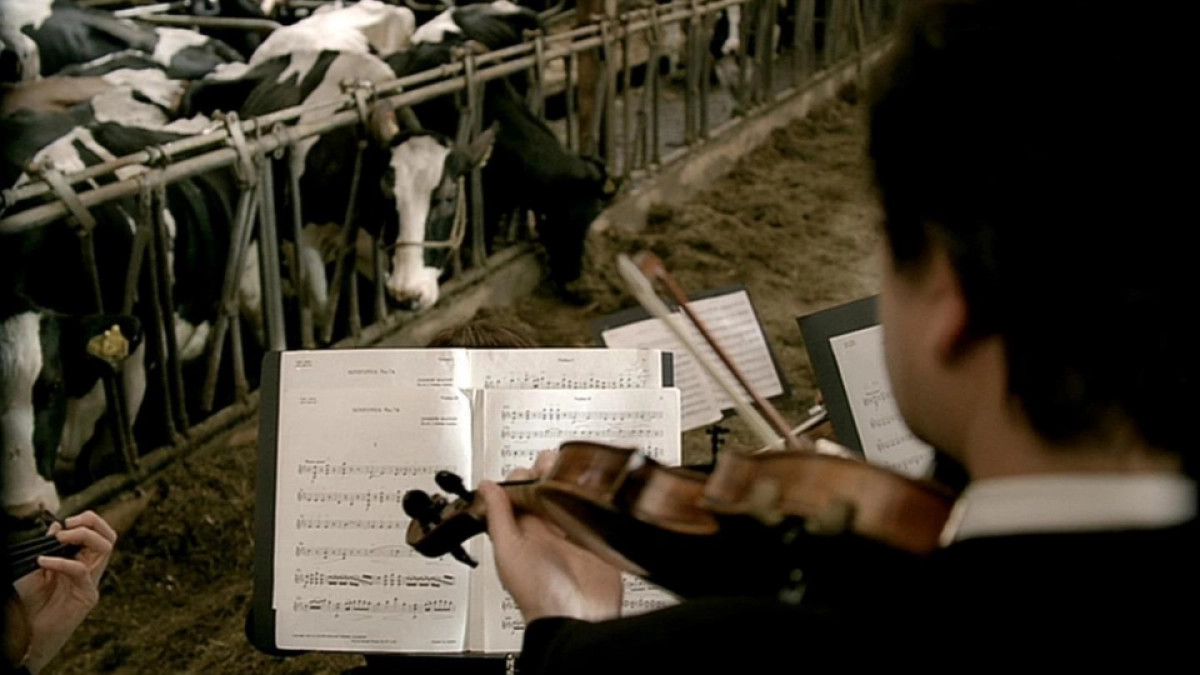 深圳道里创始人、首席知识官张道鑫内部培训-社会化营销的可能性_第8页