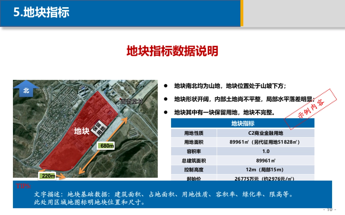 项目定位策划报告课件_第10页