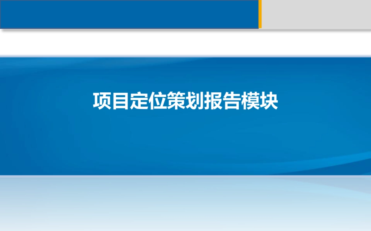 项目定位策划报告课件_第2页