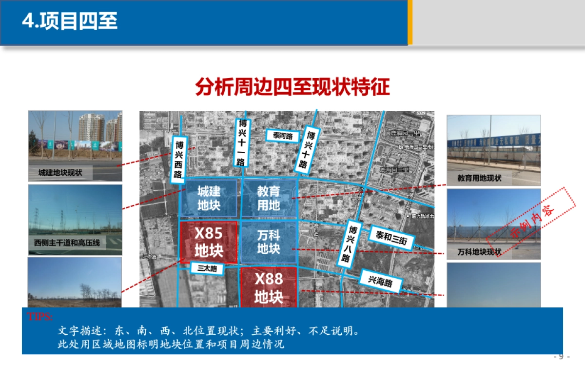 项目定位策划报告课件_第9页