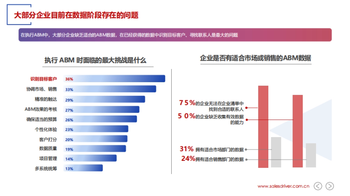 2022年 ABM 实战指南-SalesDriver_第10页