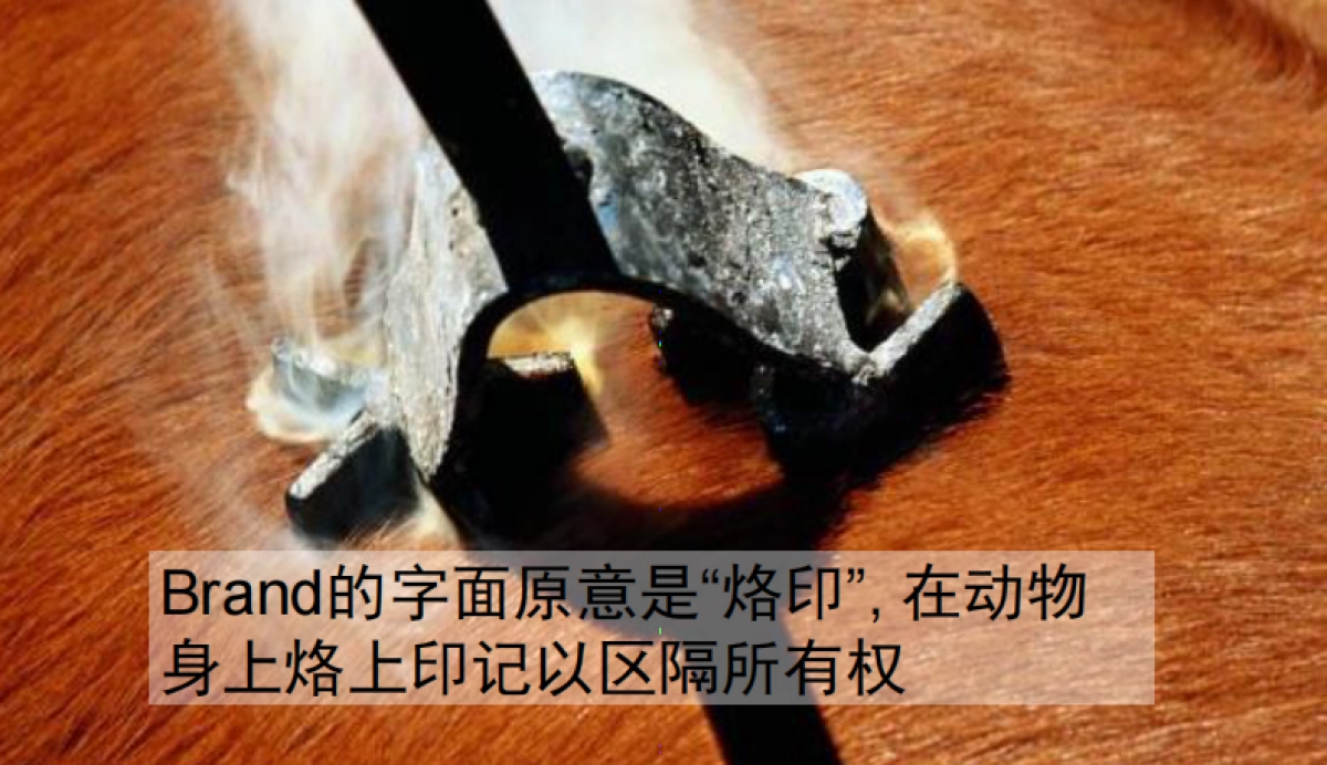 奥美整合行销传播集团内部绝密培训-品牌策略_第6页