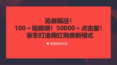 碧桂园浙江区域网红购房模式