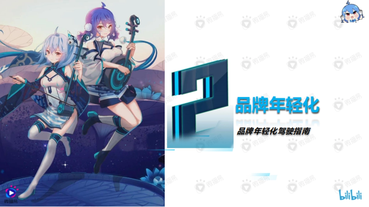 品牌年轻化营销方法论：入圈B站怎么玩.pdf_第8页