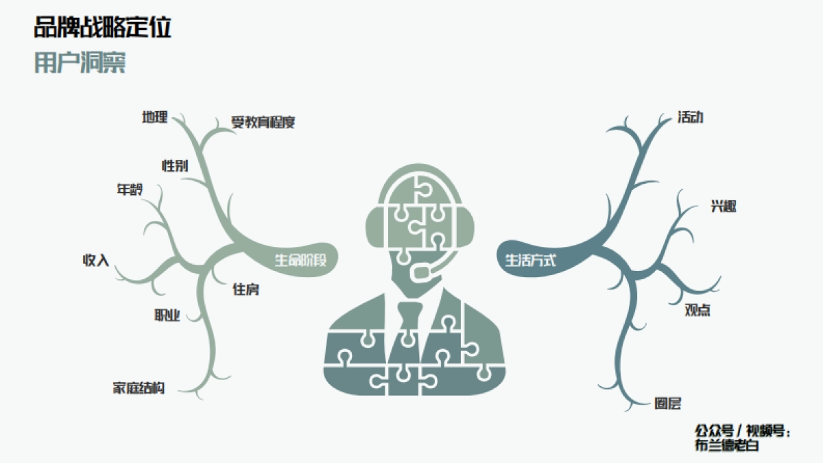 品牌全域增长模型—布兰德老白_第4页