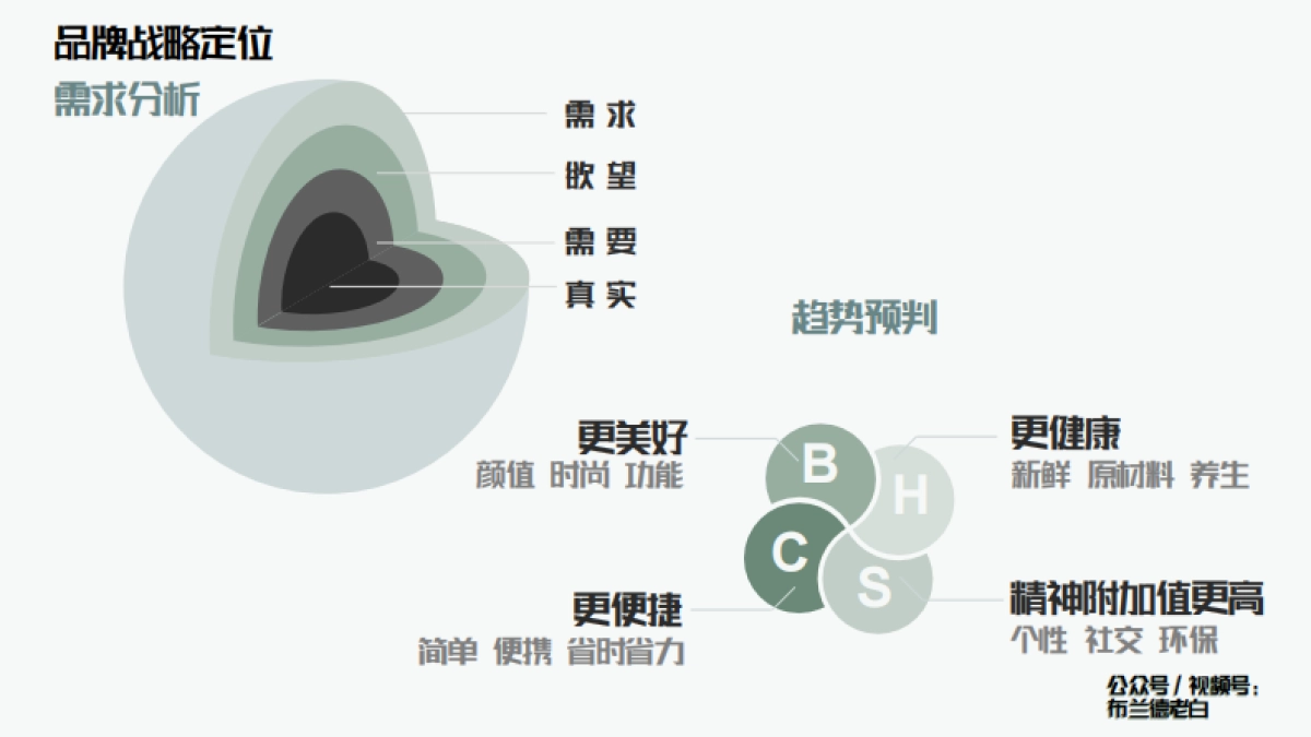 品牌全域增长模型—布兰德老白_第5页