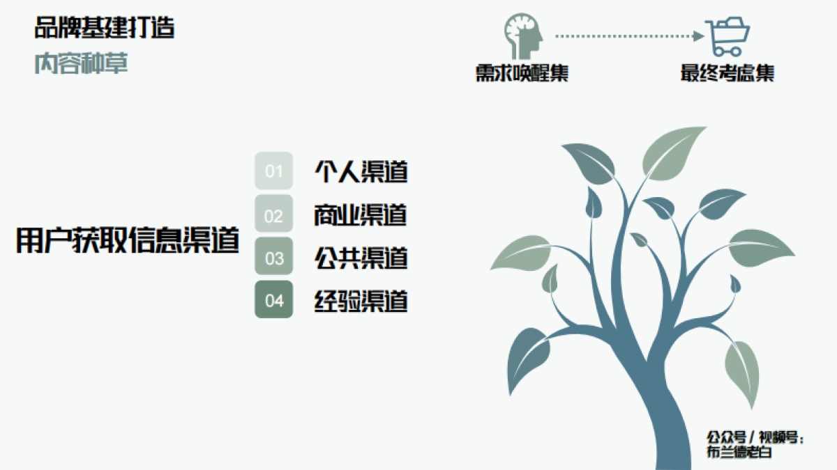 品牌全域增长模型—布兰德老白_第9页