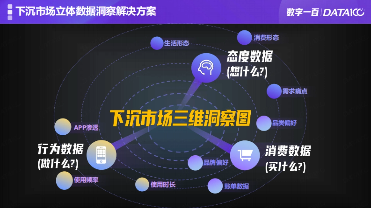 下沉市场增长机会洞察-数字100_第10页