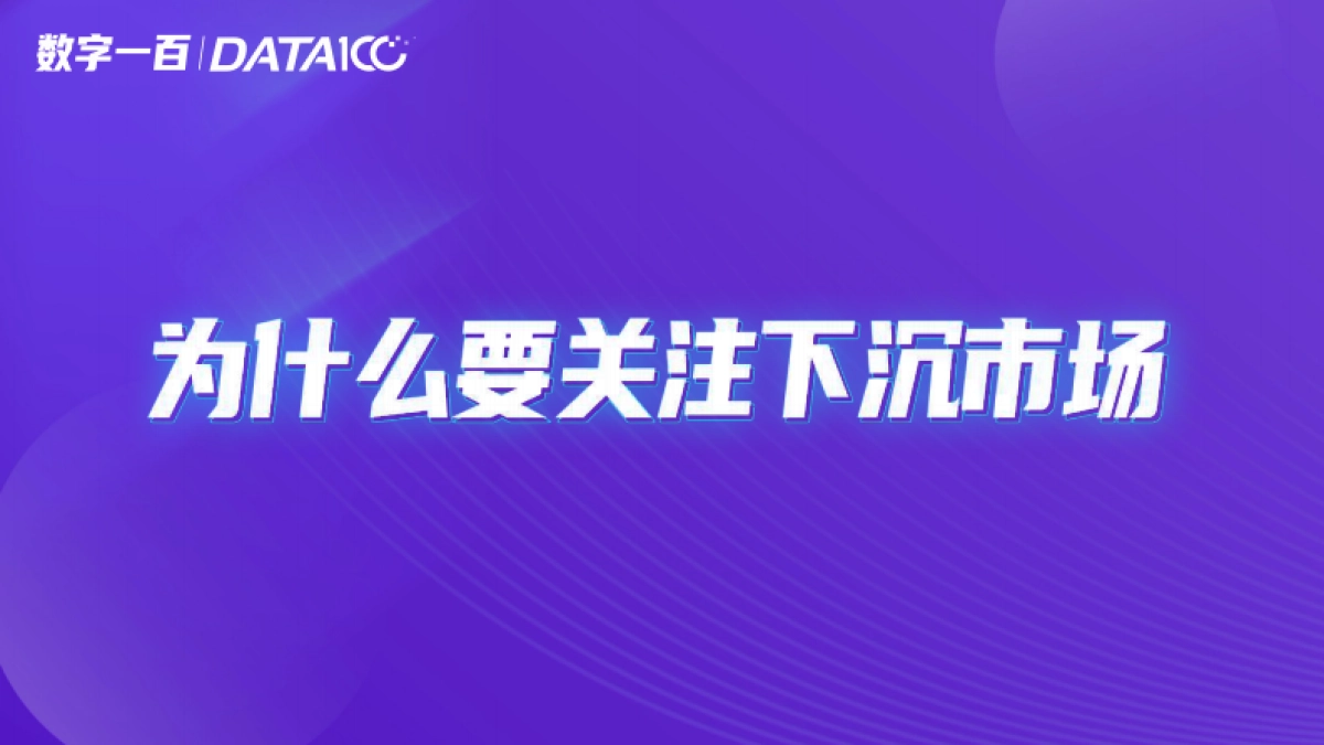 下沉市场增长机会洞察-数字100_第2页