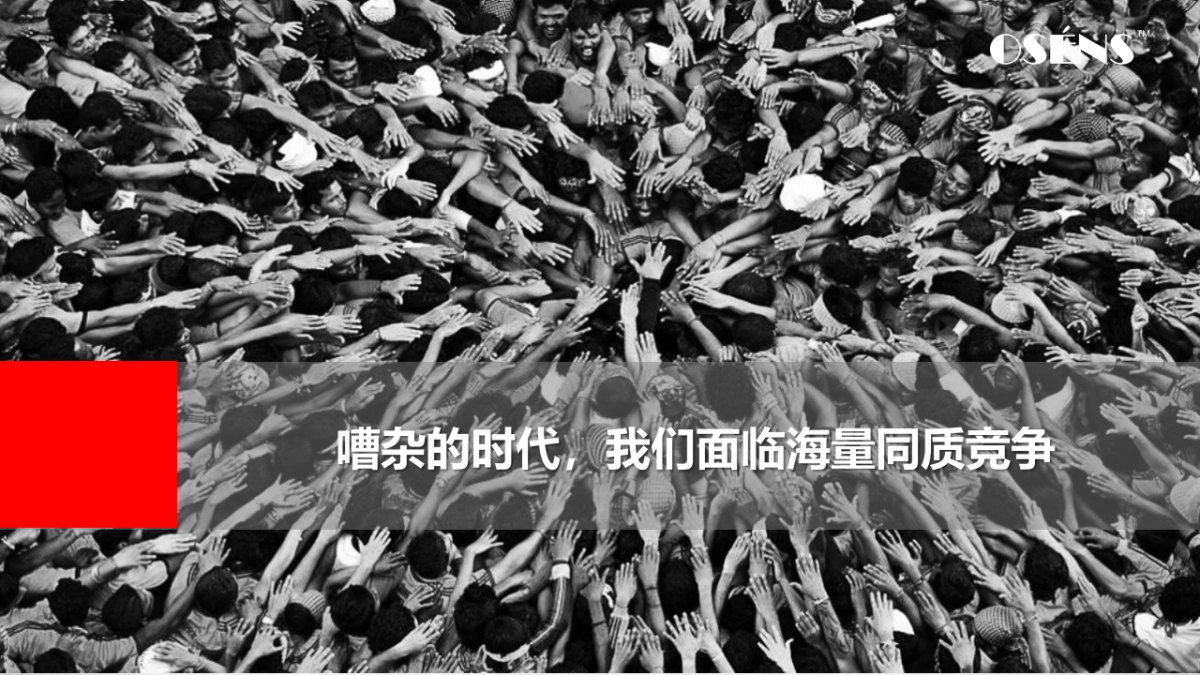 数字时代大品牌：欧赛斯方法及策略_第2页