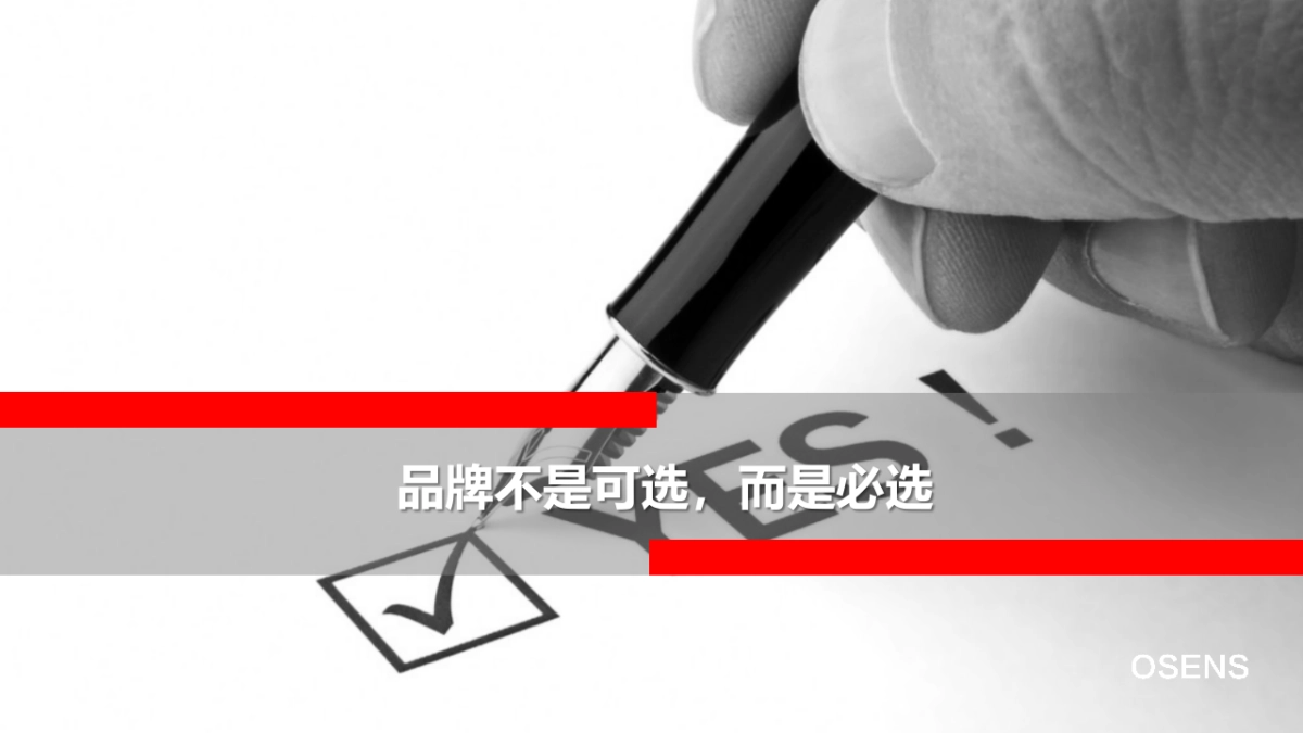 数字时代大品牌：欧赛斯方法及策略_第3页