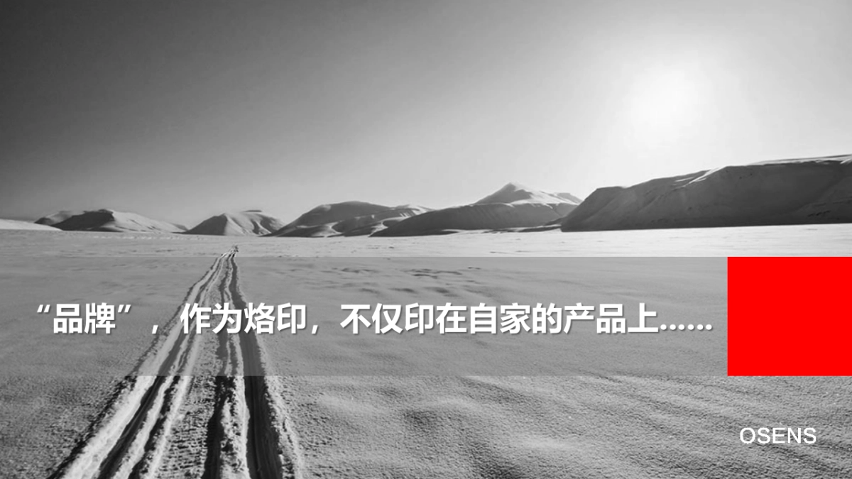 数字时代大品牌：欧赛斯方法及策略_第5页