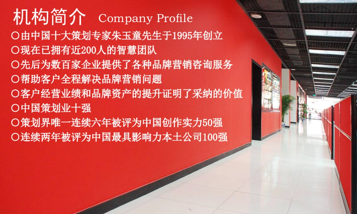 CN2007JC公司简介_第3页