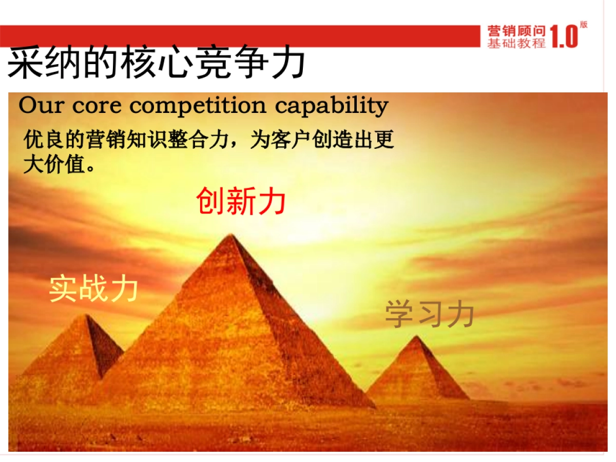 CN2007JC行政需知_第7页