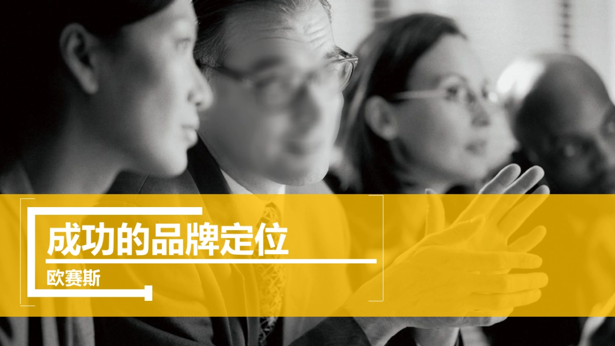 欧赛斯成功的品牌定位培训版_第2页