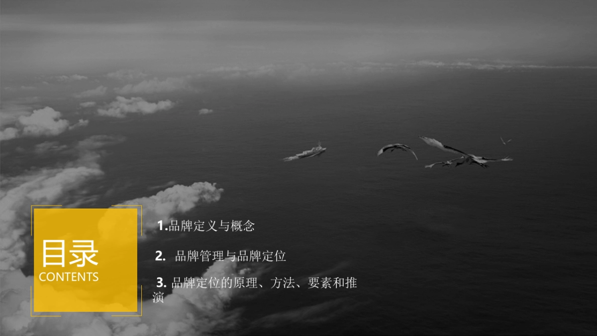 欧赛斯成功的品牌定位培训版_第3页